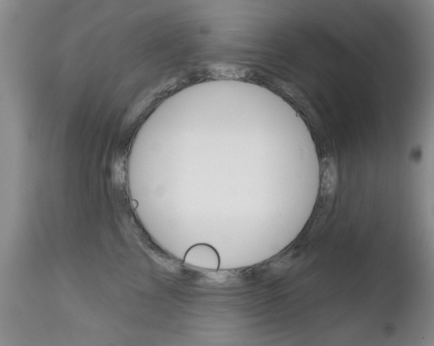 X0000112800713200908211003