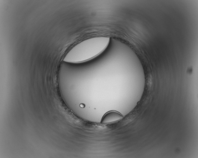 X0000112800715200908211003