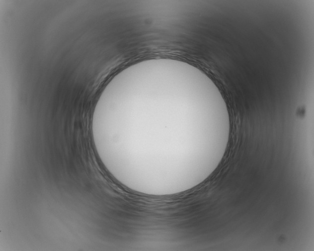 X0000112800716200908211003
