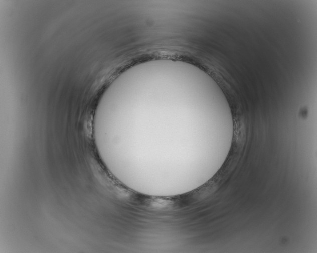 X0000112800718200908211003