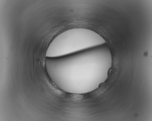 X0000112800719200908211003