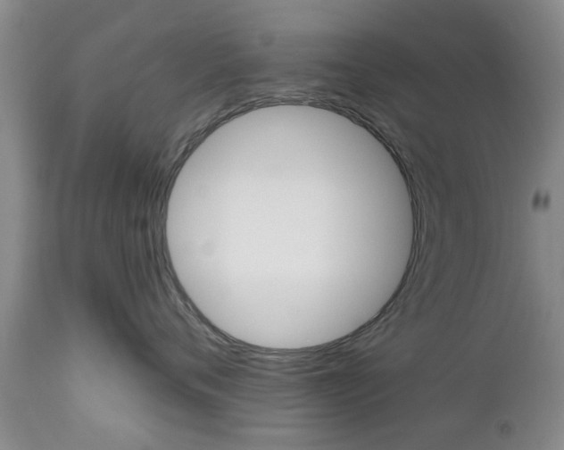 X0000112800720200908211003