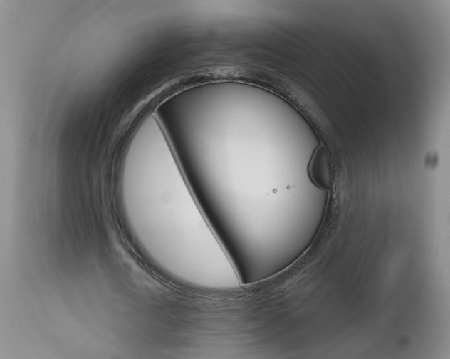 X0000112800722200908211002