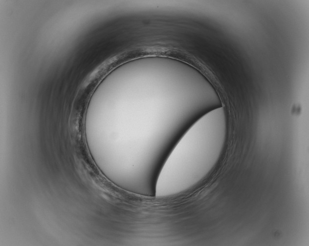 X0000112800723200908211002