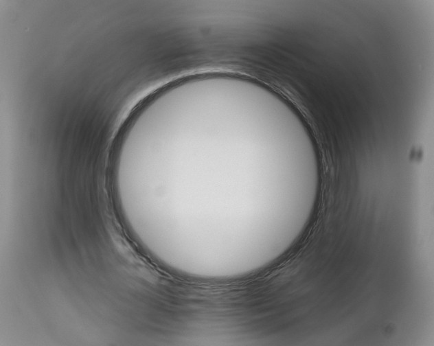 X0000112800724200908211002