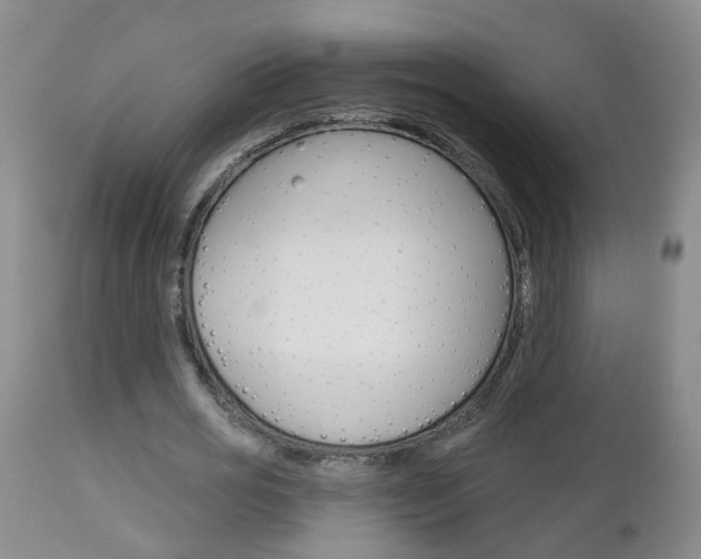 X0000112800725200908211002
