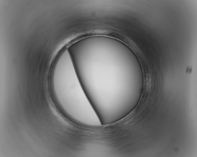 X0000112800726200908211002