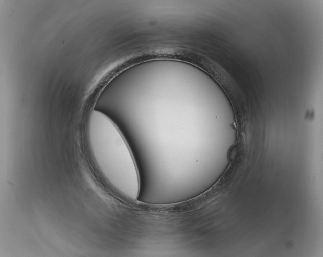 X0000112800728200908211002
