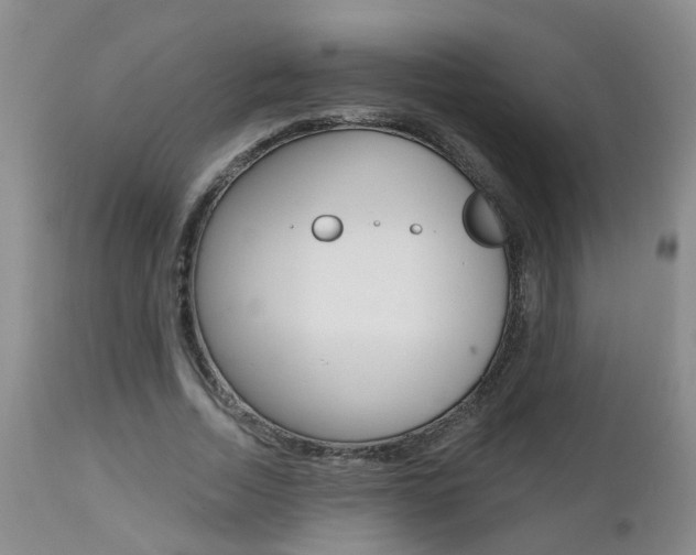 X0000112800730200908211002