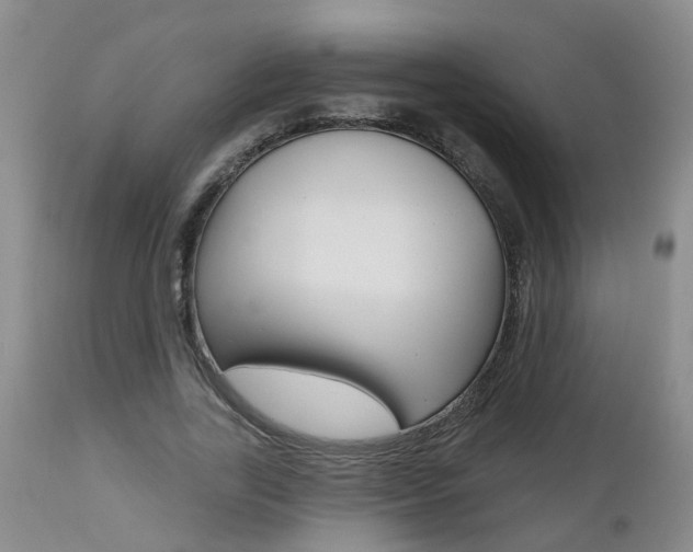 X0000112800731200908211002