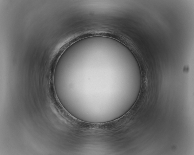 X0000112800732200908211002