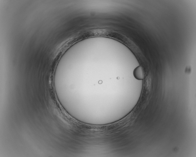X0000112800733200908211002