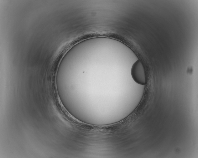 X0000112800736200908211002