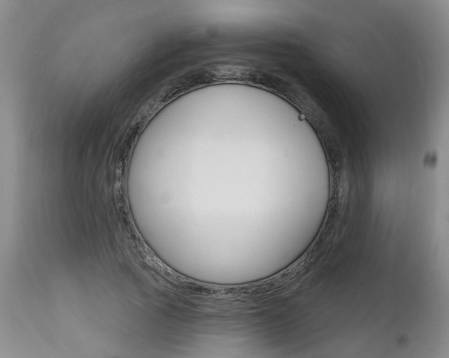 X0000112800737200908211002