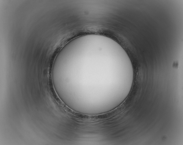 X0000112800739200908211002