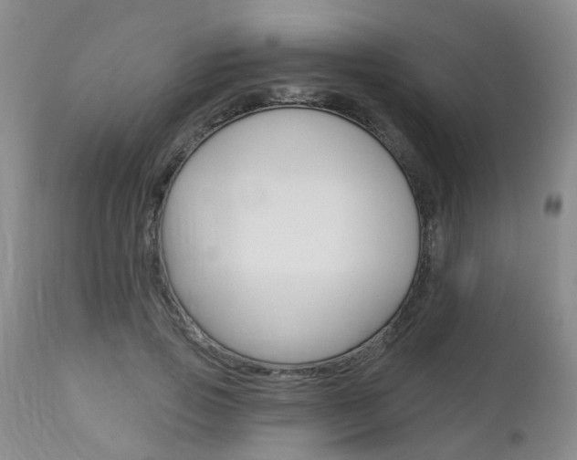 X0000112800741200908211002