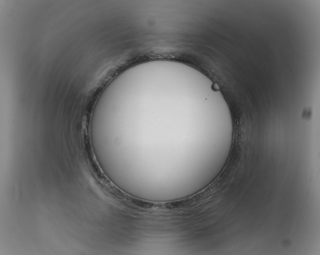 X0000112800742200908211002