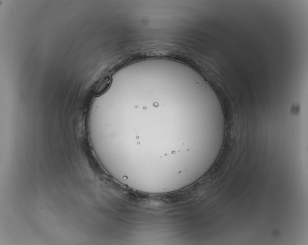 X0000112800743200908211002