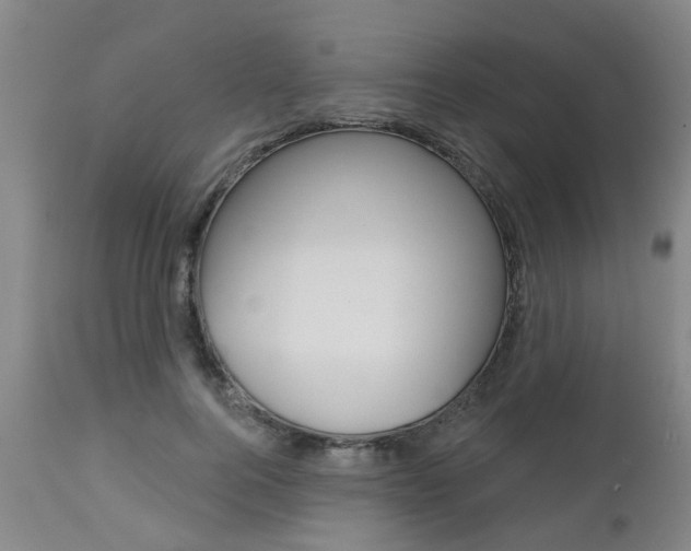 X0000112800744200908211002