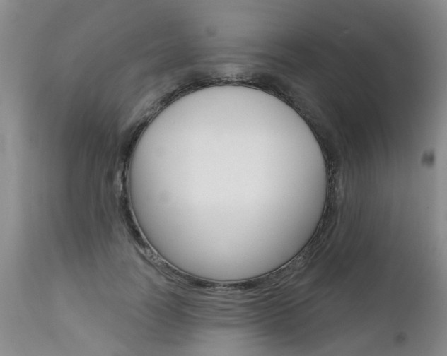 X0000112800746200908211002