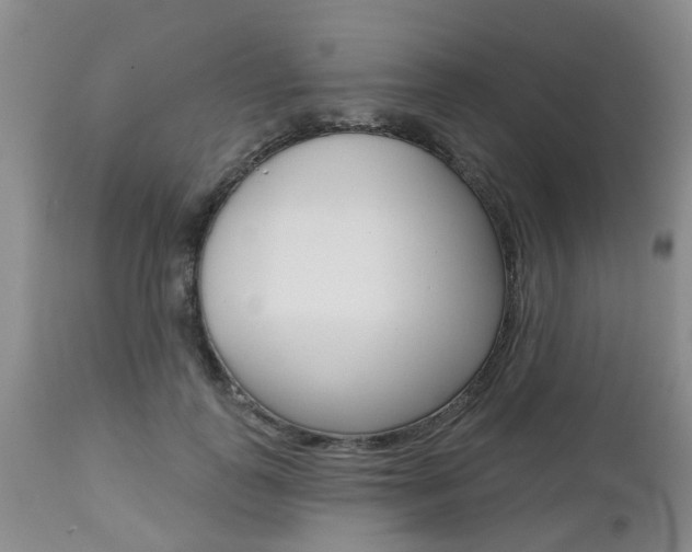 X0000112800747200908211002