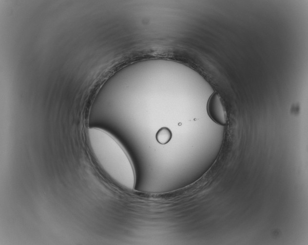 X0000112800748200908211002