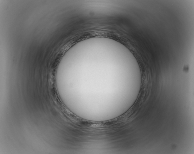 X0000112800749200908211002