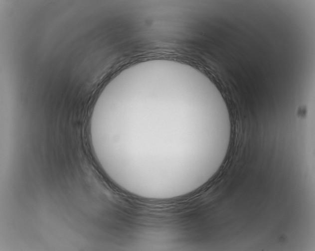 X0000112800750200908211002