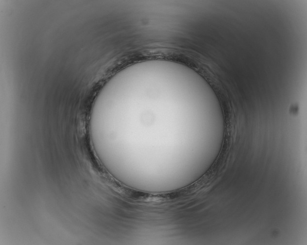 X0000112800751200908211002