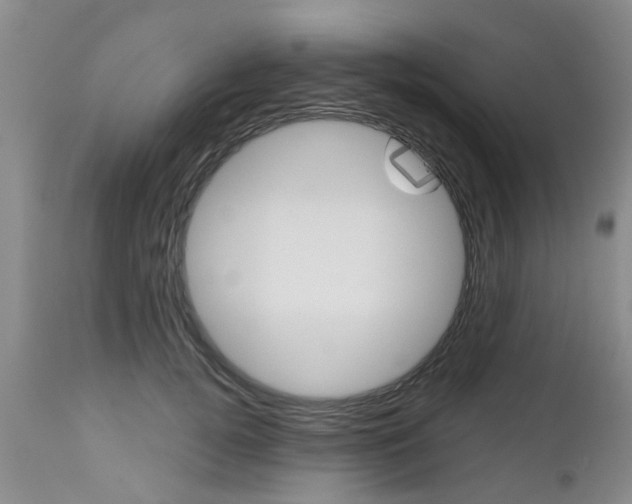 X0000112800752200908211002