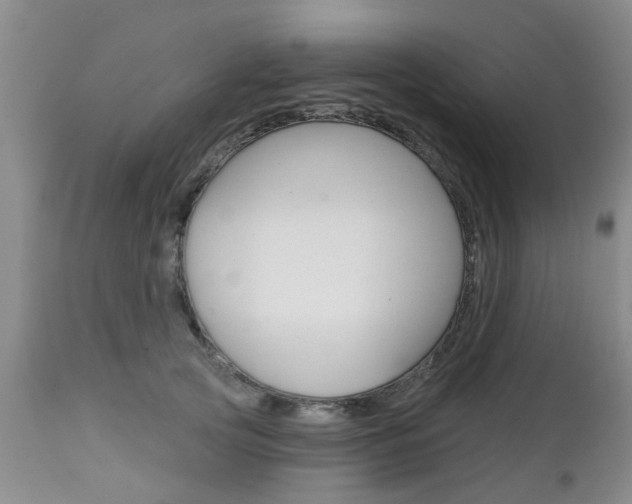 X0000112800753200908211002
