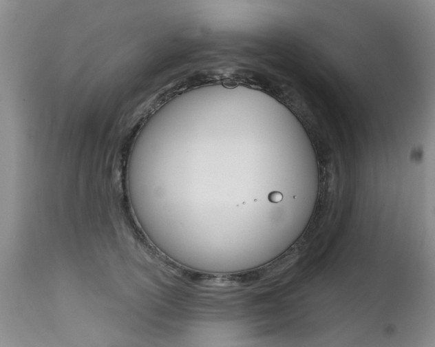 X0000112800754200908211002