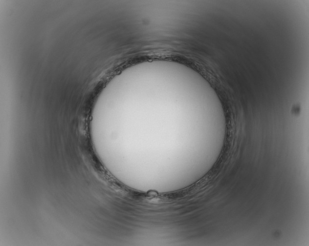 X0000112800755200908211002