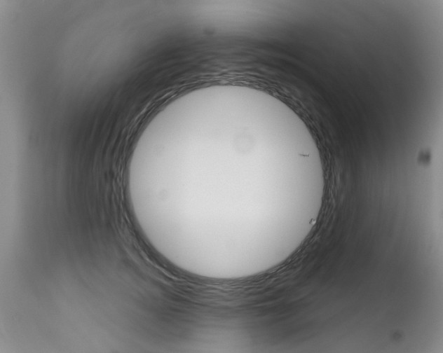 X0000112800756200908211002