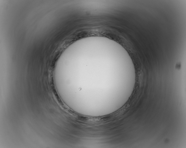 X0000112800757200908211002