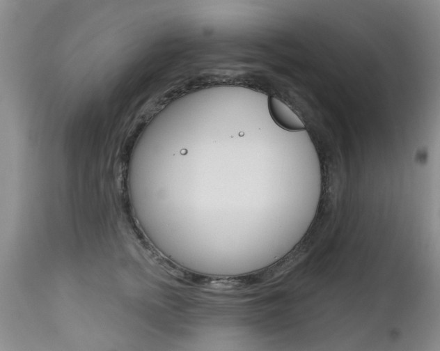 X0000112800758200908211002