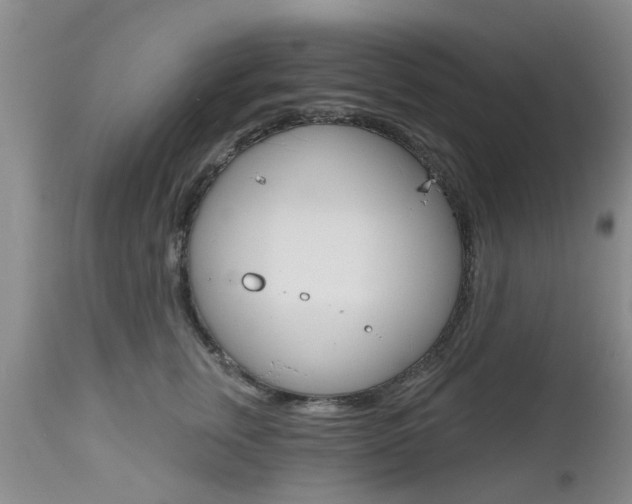 X0000112800759200908211002