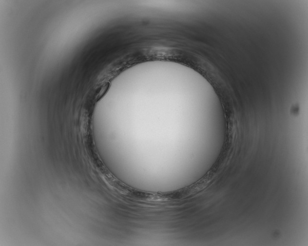 X0000112800760200908211002