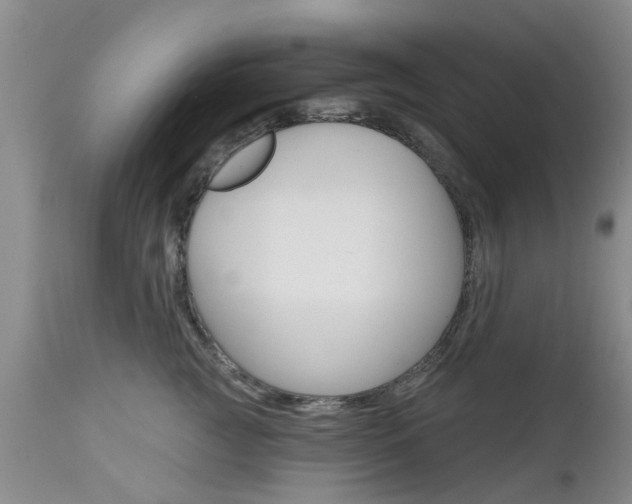 X0000112800761200908211002