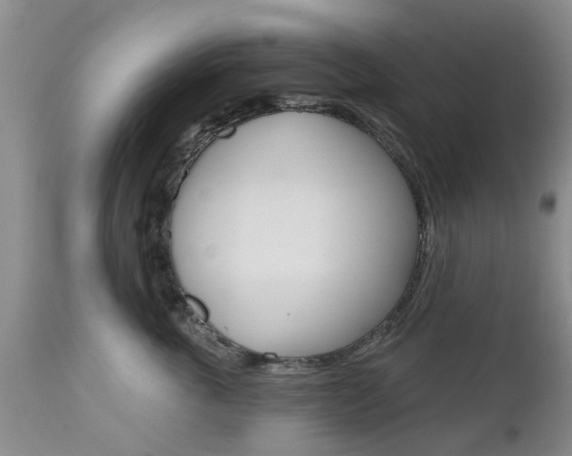 X0000112800763200908211003