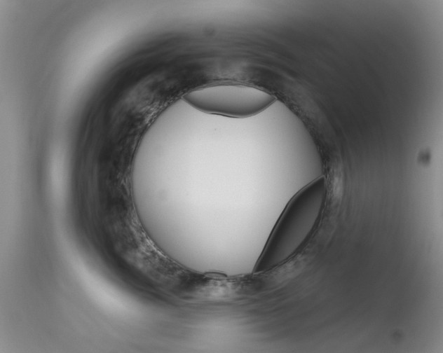 X0000112800764200908211003