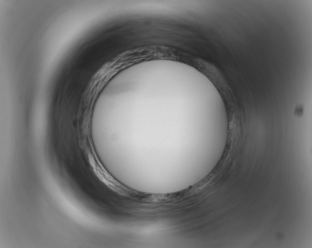 X0000112800765200908211003