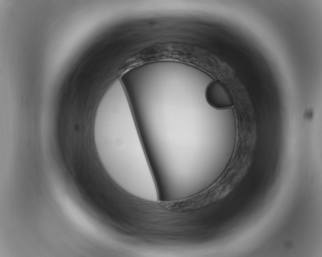 X0000112800766200908211003