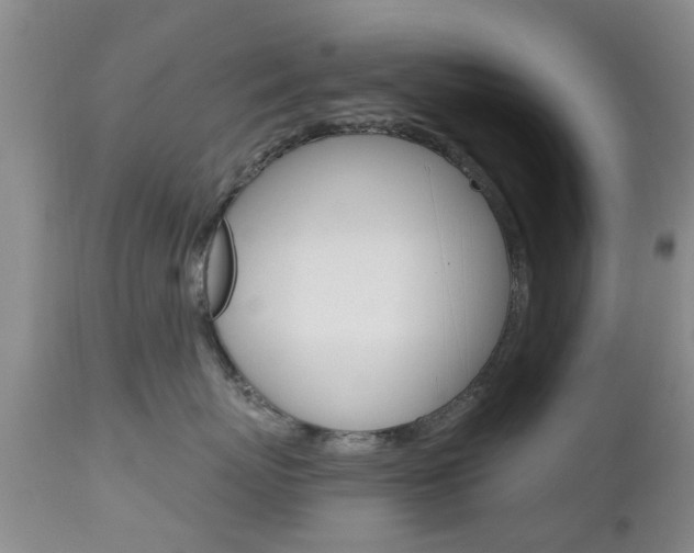 X0000112800767200908211003