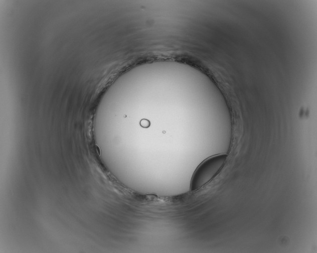 X0000112800768200908211003