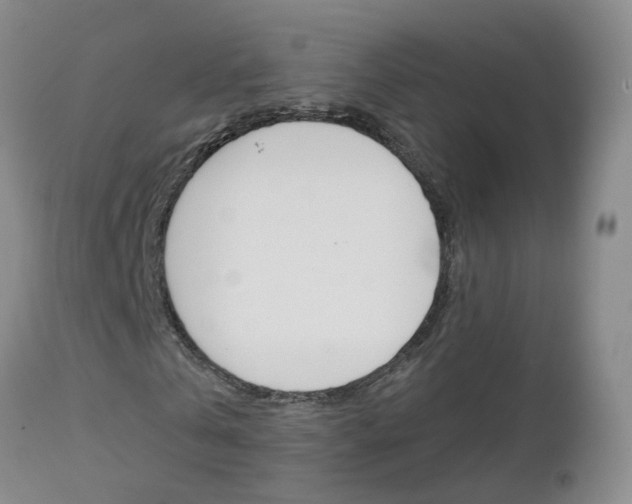 X0000112800769200908211002