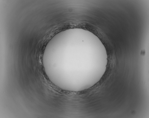 X0000112800770200908211002