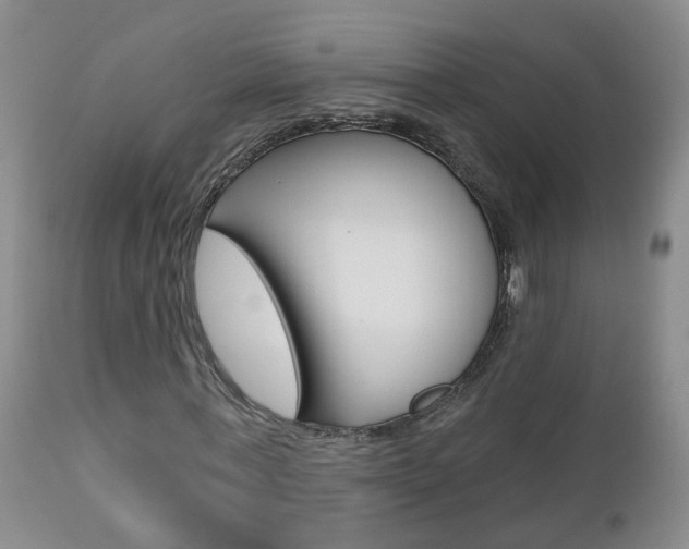 X0000112800771200908211002