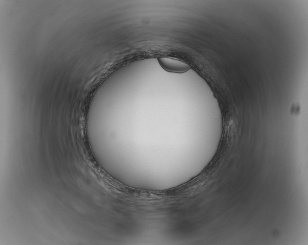 X0000112800772200908211002