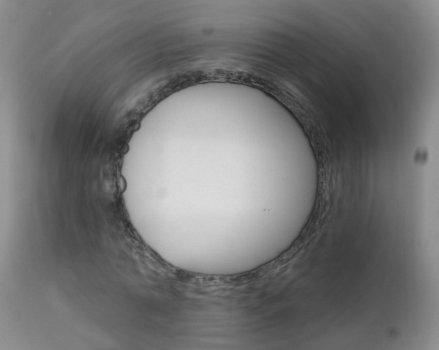 X0000112800774200908211002